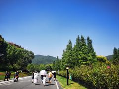 -习家池