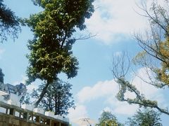 -乌山风景区