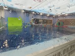 -龙格亲子游泳·水育早教运动中心(上虞钱江中心)