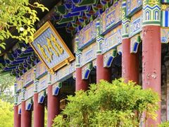 -西安大兴善寺