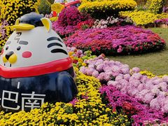 -南山植物园