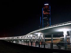 -演武大桥观景平台