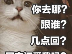 -MS实景娱乐密室逃脱(川大店)