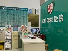 -乐琪宠物医院·犬猫专科·骨外科·急重症