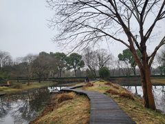 -西溪国家湿地公园