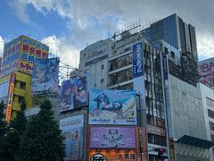 -秋叶原电器街