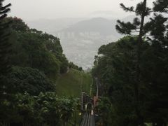 -伍秀泽海南鸡饭茶室
