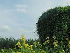 -长春公园(普阳街道)