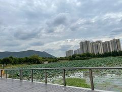 -诺贝尔湖公园
