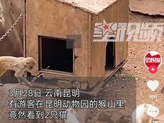 -昆明动物园