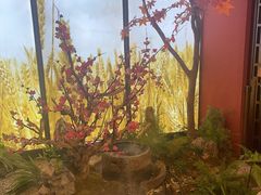 -烹湘·鲜炒湖南土菜(海珠店)