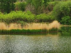 -野鸭湖国家湿地公园