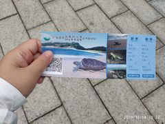 -广东惠东海龟国家级自然保护区