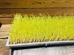 -鸿鑫海鲜楼(福辉店)