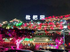 -枇杷园食为鲜火锅(南山店)