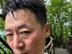 -天女山森林公园