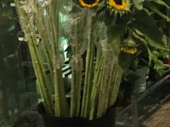 -花草间花行(法华镇路店)