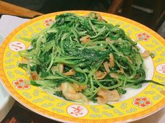 油渣鸡毛菜-那家小馆•北京菜•烤鸭(中关村店)