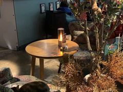 -咖法森林·咖啡  酒吧(天河店)