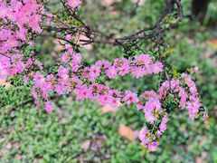 -陕西师范大学(雁塔校区)