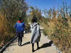 -亿利库布其七星湖沙漠生态旅游区