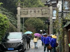 -十八棵（老龙井）御茶园(老龙井店)