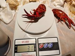 -巴厘龙虾·榜首油焖大虾(音乐学院·沿江酒馆店)