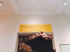 -美国自然历史博物馆