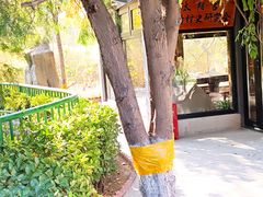 -太阳宫公园