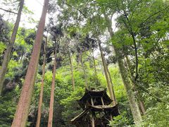 -青城山