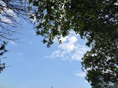 -火炉山森林公园