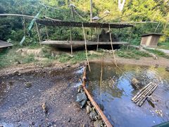-西双版纳原始森林公园