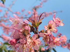 -华南国家植物园-售票处