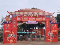 -天适樱花悠乐园