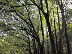 -同里国家湿地公园