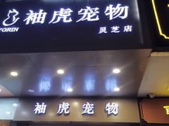 -袖虎宠物·金渐层缅因猫舍(灵芝店)