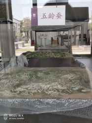 -太湖雪蚕桑文化园