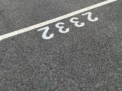 -迪士尼乐园停车场