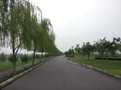 -洨河生态公园