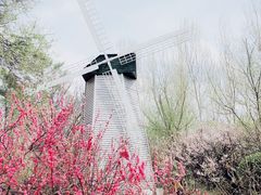 -黑龙江省森林植物园