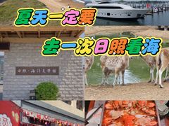 -渡海小渔村.老辈日照菜