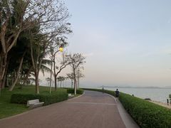 -深圳湾公园(南山区)