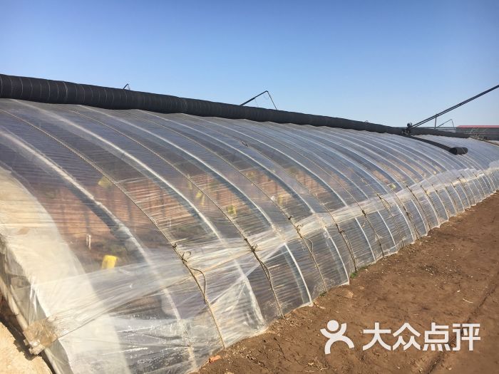 司马庄园-图片-青县生活服务-大众点评网