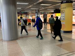 -大望路(地铁站)