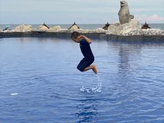 -渔岛海洋度假区