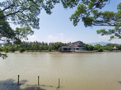 -江心屿景区