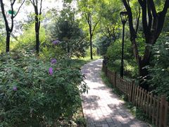 -北极寺公园