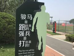 -山东鲁能乒乓球学校