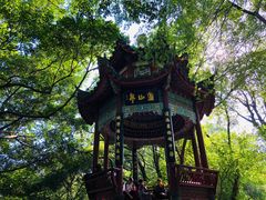 -乌山风景区
