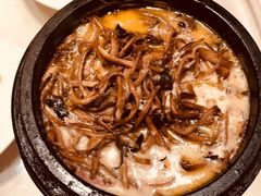 砂锅茶树菇-粤味馆(黄河路店)